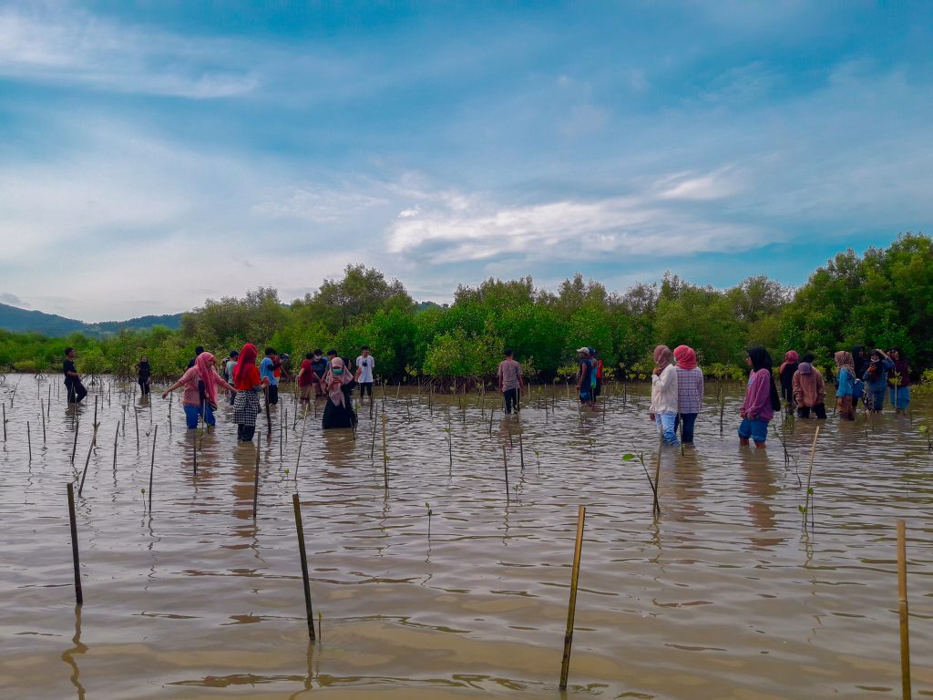 penanaman mangrove oleh mahasiswa KPI